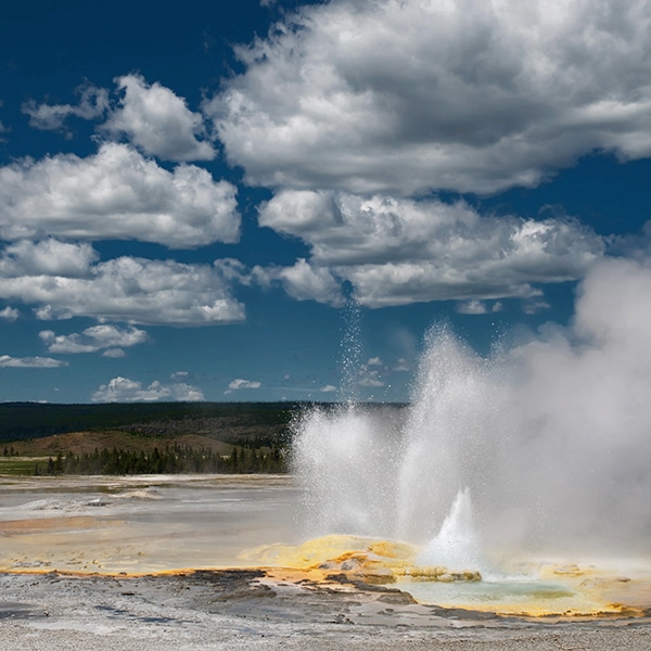 Yellowstone Tours