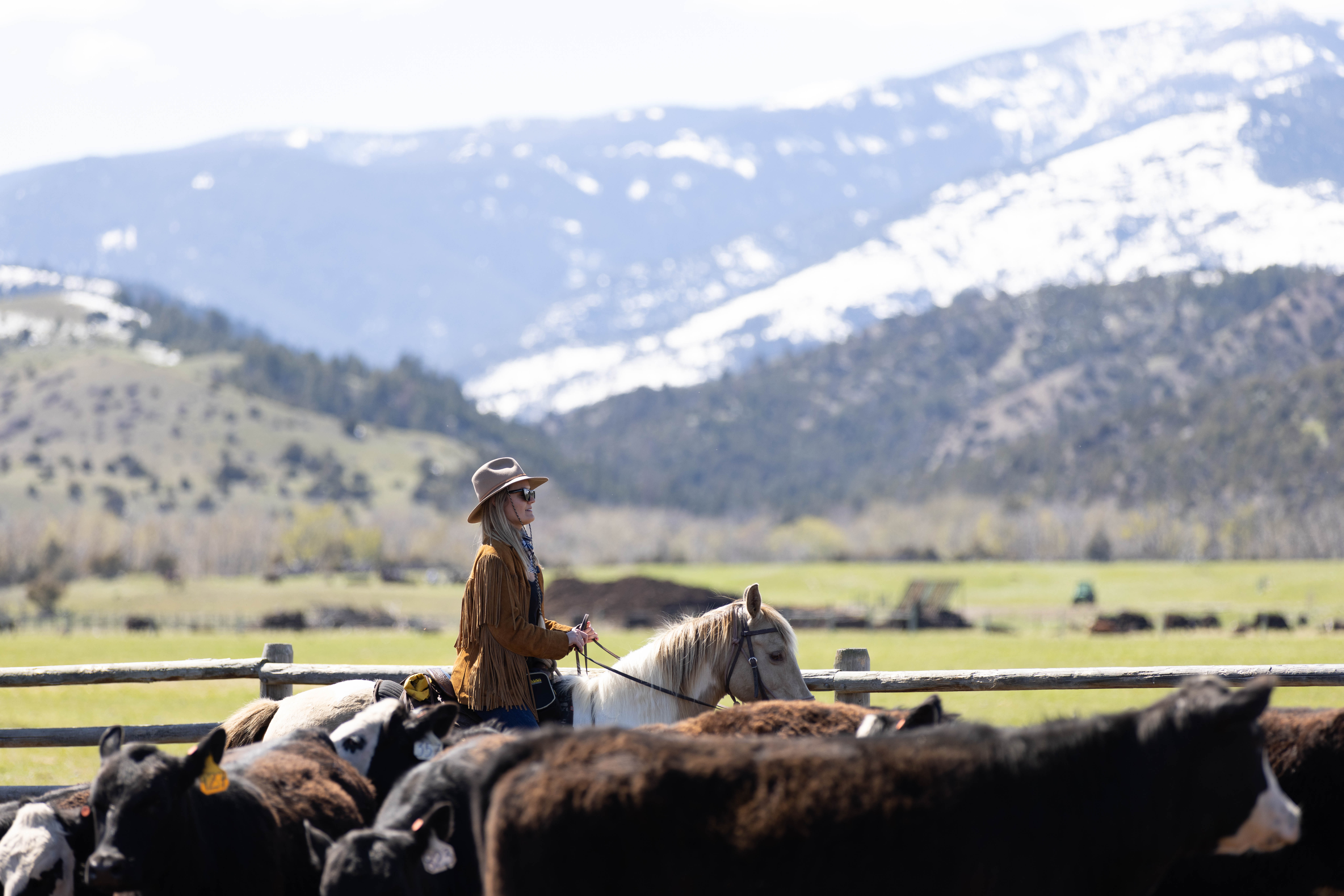 There is nothing better than working the ranch at Mountain Sky Guest Ranch,